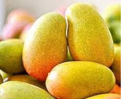 Himayath Mangoes
