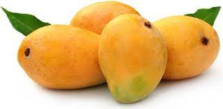 Alphonso Mangoes