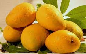 Hima Pasand Mangoes