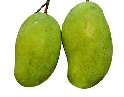 Tella Gulabi Mangoes