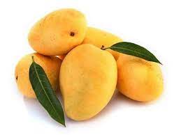 Kesar Mangoes