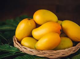 Hyderabad Organic Mangoes